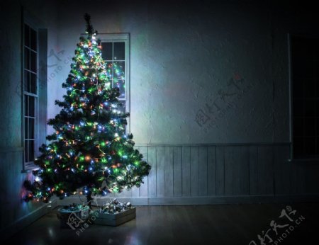 圣诞树室内图片