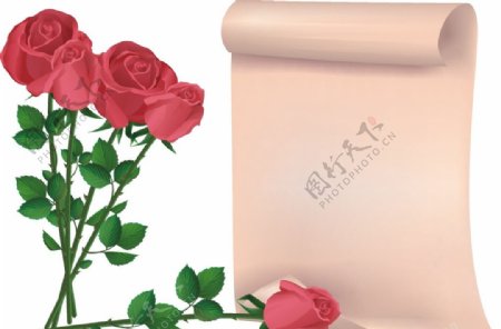 玫瑰花古典卷轴图片