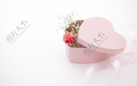 玫瑰鲜花礼盒图片