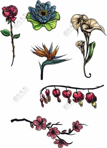 花朵植物纹身图案图片