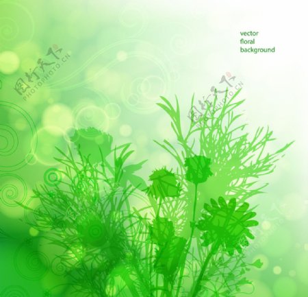 绿色花卉背景图片