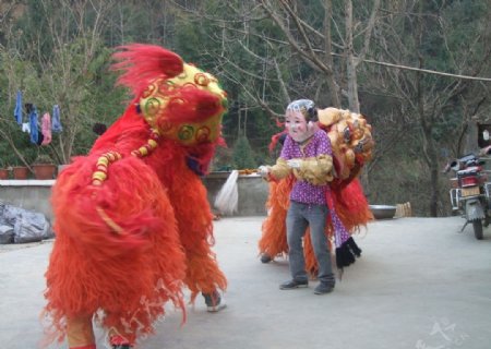 民间舞狮图片