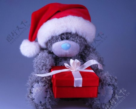 玩具小熊和礼品盒图片