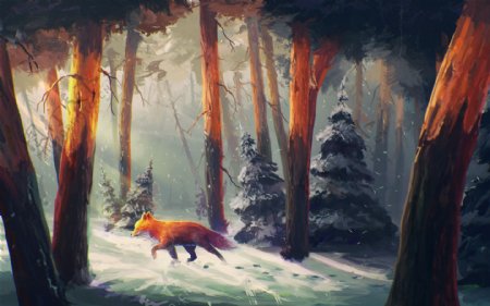 绘画森林里的狐狸图片