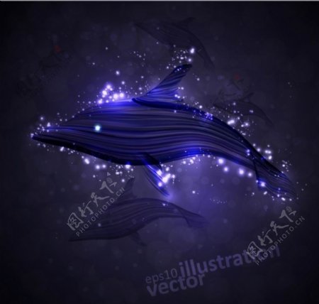 光线海豚图片