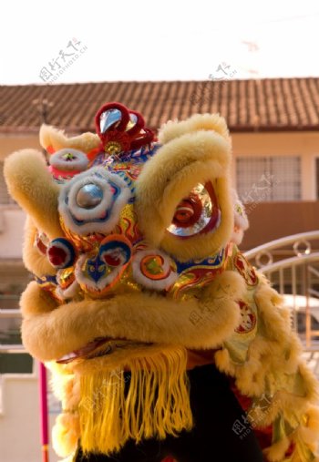 舞狮南狮中国传统文化表演艺术瑰宝节庆华人狮子liondance一只图片