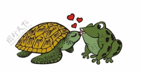 龟蛙之恋图片