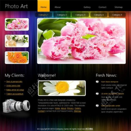 鲜花摄影网站页面图片