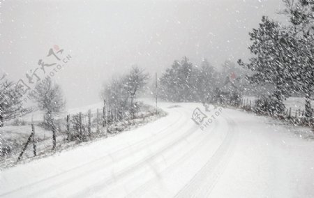 飘雪图片