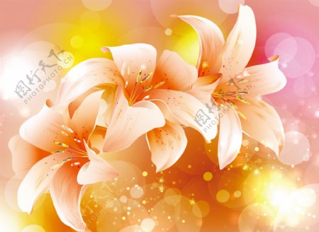 橙色梦幻花朵背景素材图片