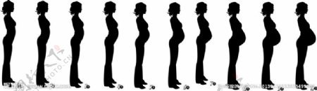 妊娠期肚子变化图片