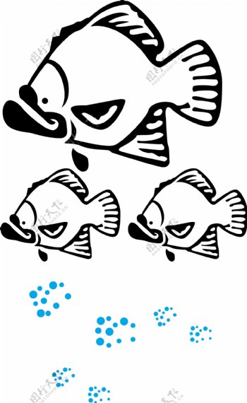 石斑鱼图片