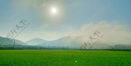 田园风光图片