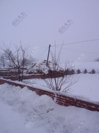 东北农村下大雪图片