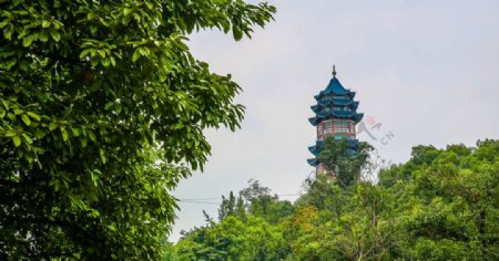 自贡景观图片