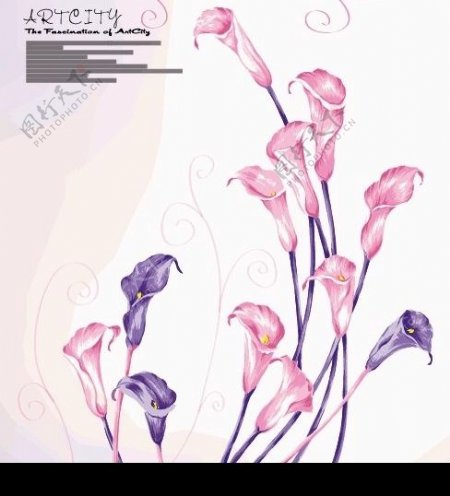 超级矢量花朵矢量素材AI图片