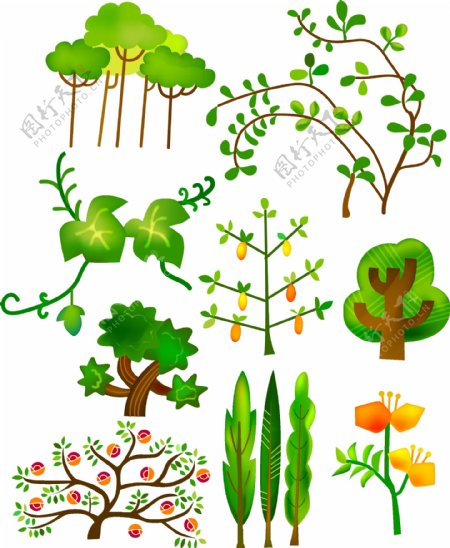 植物集图片