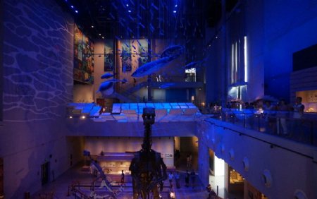 广州博物馆恐龙图片