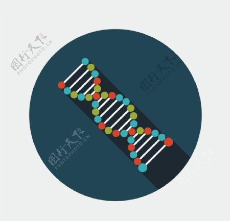 分子结构图片