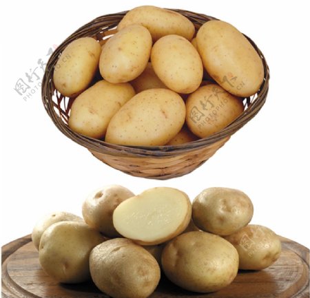 土豆素材图片