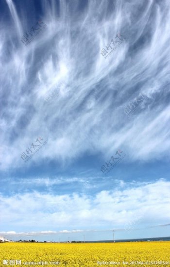青海湖的天空图片