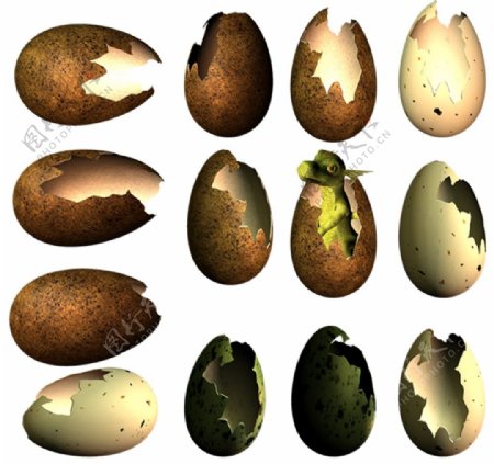 蛋壳素材图片