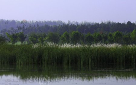 云南红河湖泉风光图片