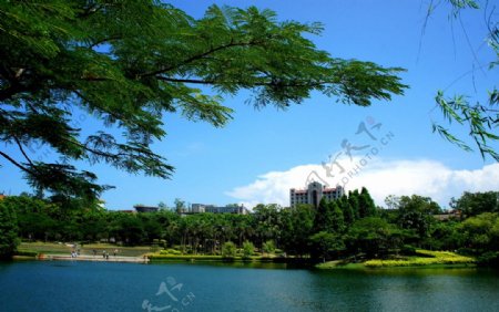 厦门大学芙蓉湖美景图片