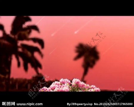 红色背景椰树海岸视频