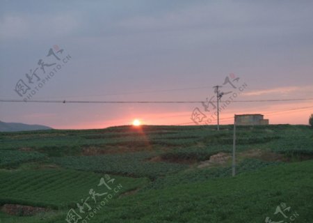 夕阳下的田园风光图片