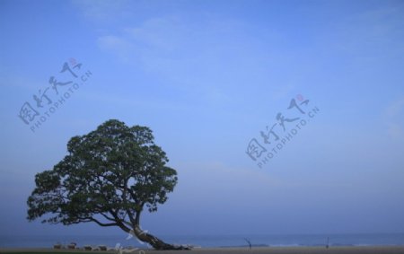 巴厘岛海滩美丽风光图片