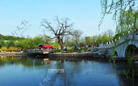 北京植物园春色图片