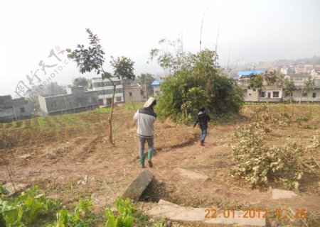 大池山农村风光图片