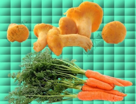 胡萝卜蘑菇组合图片