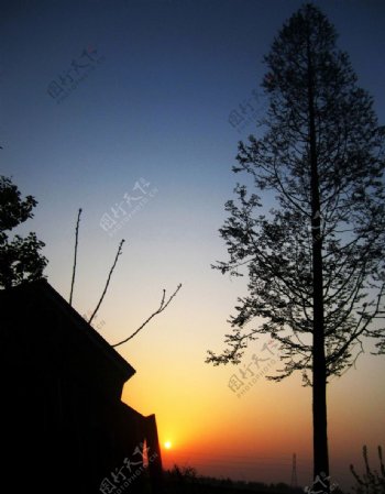 夕阳树房子天空图片