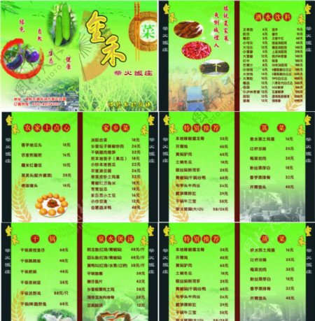 金禾菜谱图片