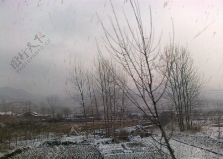 乡间雪景图片