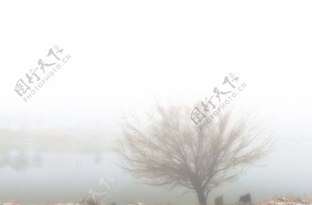 雾锁温榆河图片