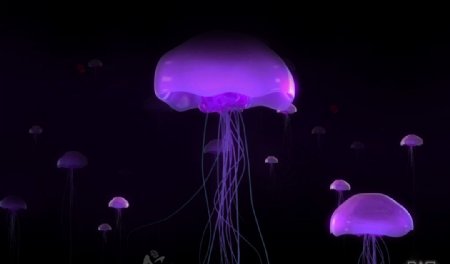 紫色科技水母图片