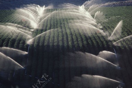 自动灌溉系统二图片