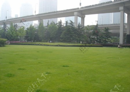 上海高架延中绿地图片