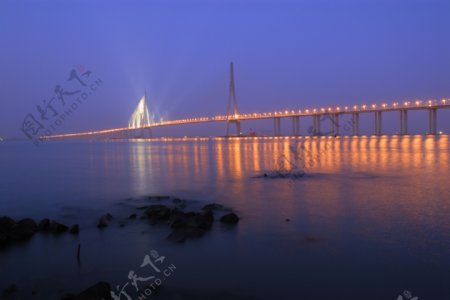 苏通大桥图片