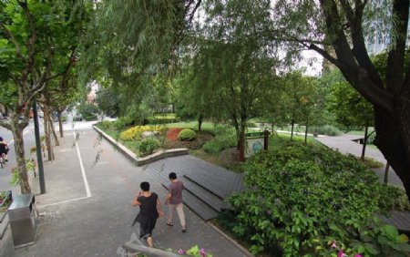 上海街头游园绿地照片图片