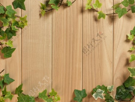 木纹木板树叶图片