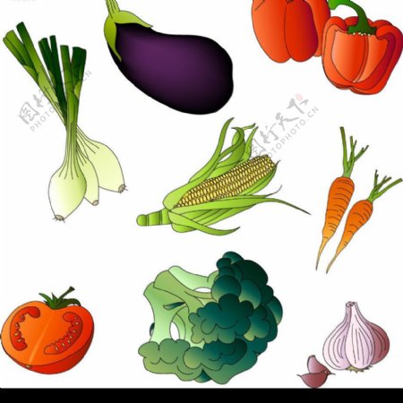 漂亮蔬菜图片
