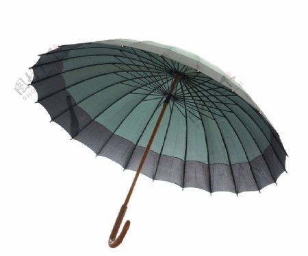 墨绿雨伞图片