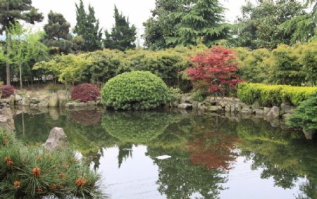 日式庭院人工湖图片
