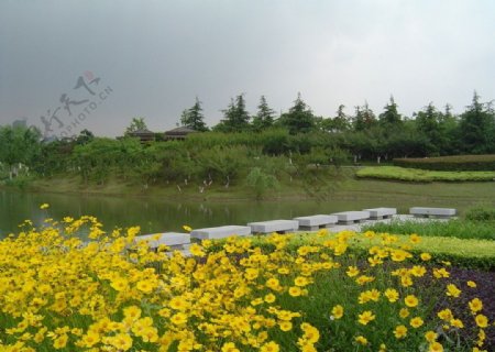 白塘植物园图片