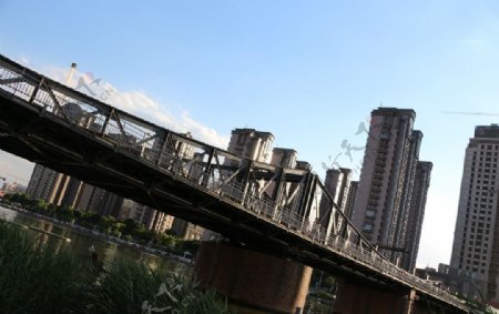 天津海河金汤桥游览金图片