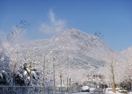雪中香山图片